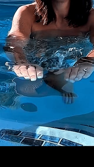Wet and Wild: A Dive into the Ocean'